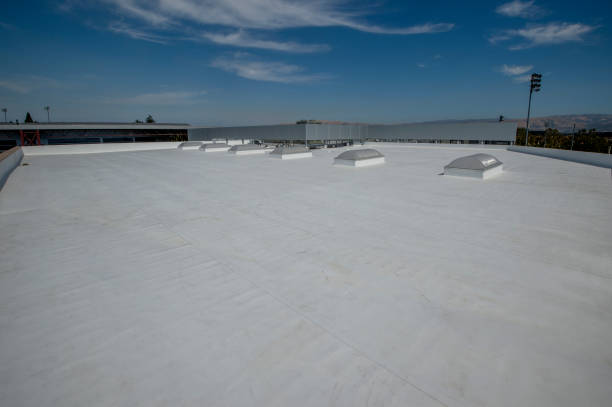 Best Sheet Metal Roofing  in North Wantagh, NY